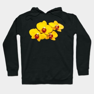 Yellow Orchid Corsage Hoodie